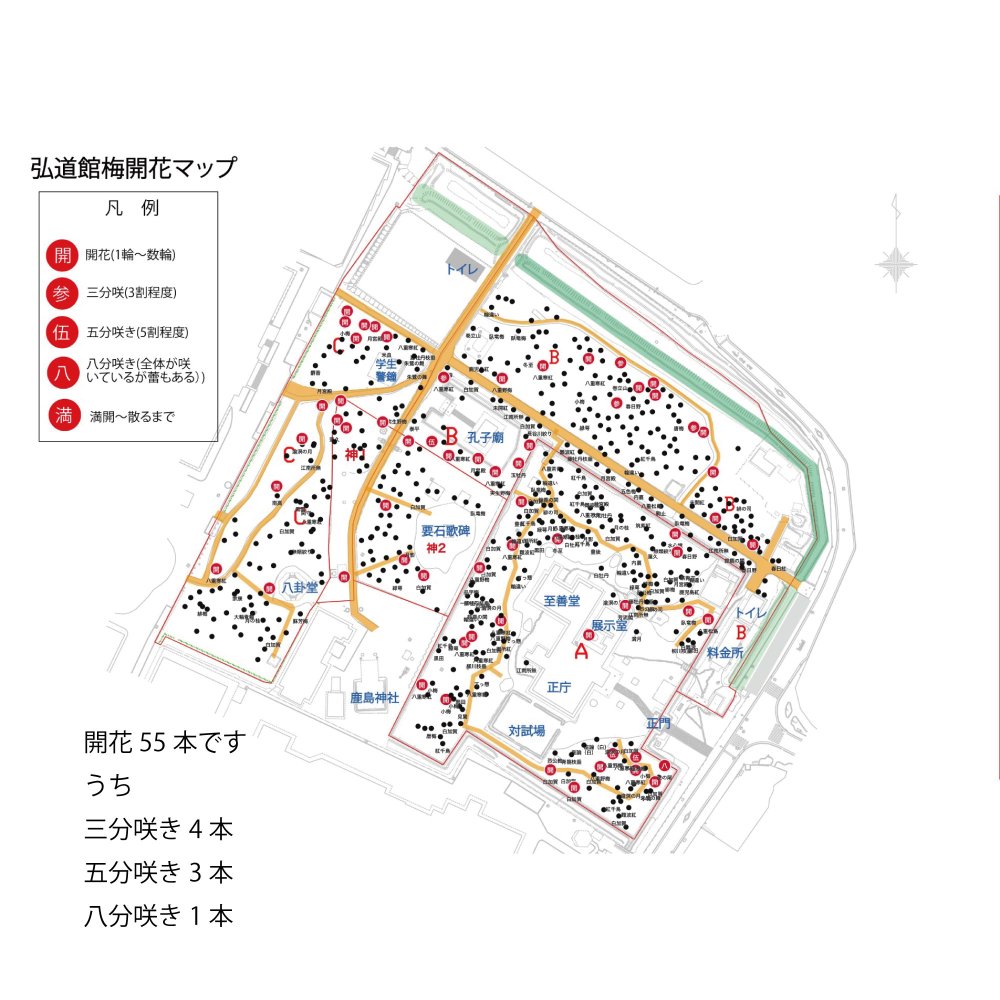弘道館の梅の開花情報(R7年度第3回:R8.1.20)