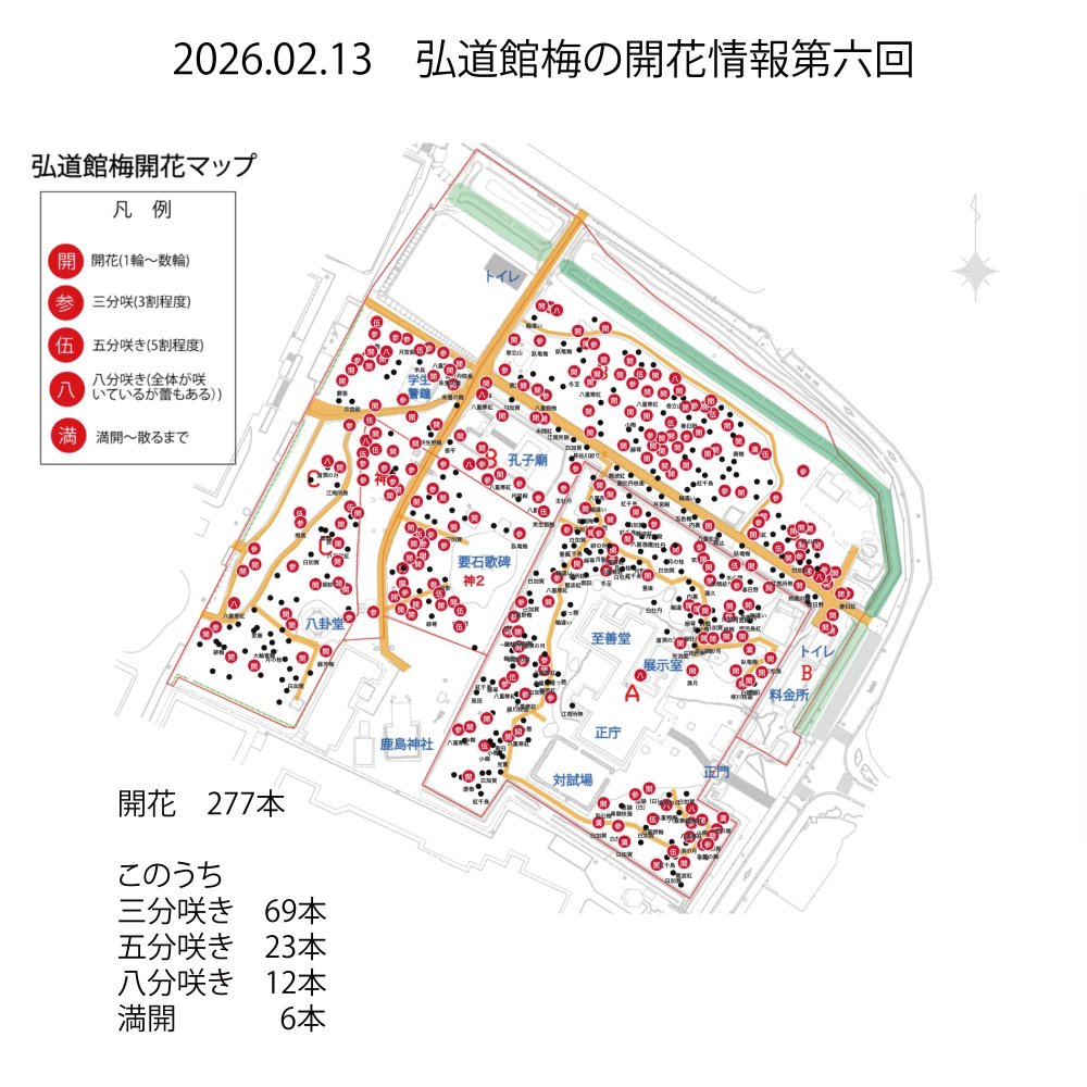 弘道館梅の開花情報第六回