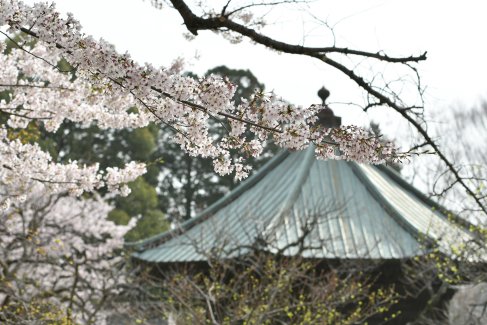 フォトギャラリー｜弘道館